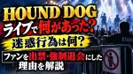 HOUND DOGライブで何があった？迷惑行為は何？ファンを出禁・強制退会にした理由を解説