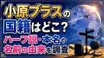 小原ブラスの国籍はどこ？ハーフ説・本名や名前の由来を調査