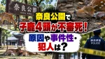 奈良公園で子鹿4頭が不審死！原因や事件性・犯人は？