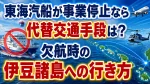 東海汽船が事業停止なら代替交通手段は？欠航時の伊豆諸島への行き方