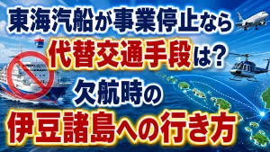 東海汽船が事業停止なら代替交通手段は?欠航時の伊豆諸島への行き方
