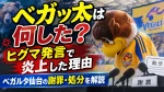 ベガッ太は何した？ヒグマ発言で炎上した理由とベガルタ仙台の謝罪・処分を解説